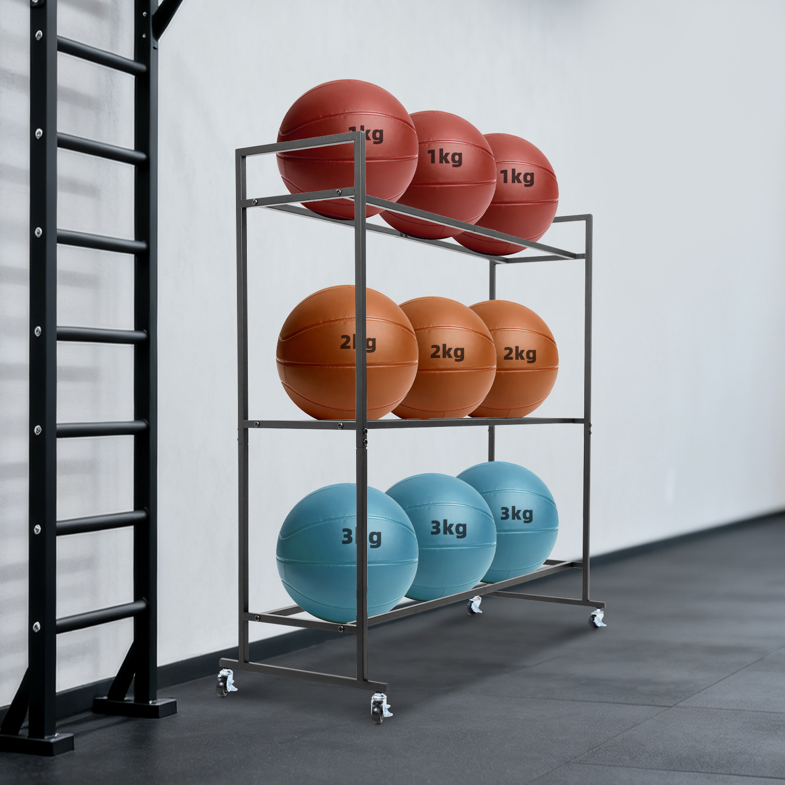 Yoga Ball Holder Storage Stand - Yoga Fitness Studio ulasan dan harga